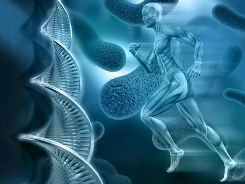 Reparo de DNA é fundamental para prevenção e tratamento do câncer