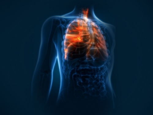 Problemas no pulmão podem levar ao infarto e ao câncer