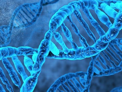 Tratamentos para o câncer abordados geneticamente são mais eficazes, aponta estudo