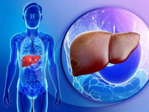 Novo tratamento do câncer hepático, com aumento de sobrevida, é apresentado por médico da Universidade do Porto no Instituto Hemomed 