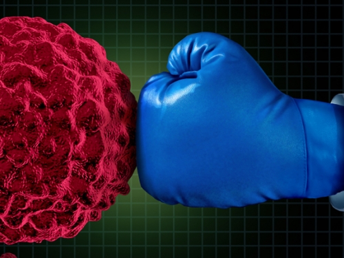 Estudo investiga como bloquear retorno de tumores mais agressivos