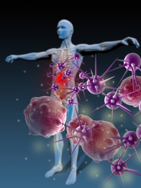 Imunoterapia do câncer: vitória no Nobel e para milhares de vidas