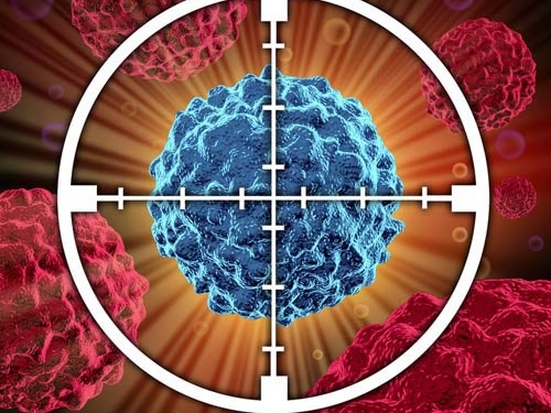Como vírus podem ser usados no combate ao câncer
