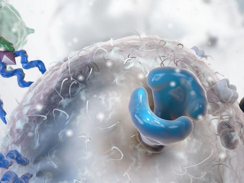 Novo anticorpo pode ser a chave para desvendar a luta contra o câncer