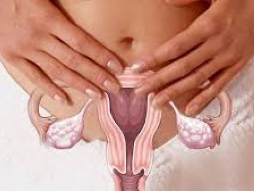 Mitos e verdades sobre o câncer de ovário