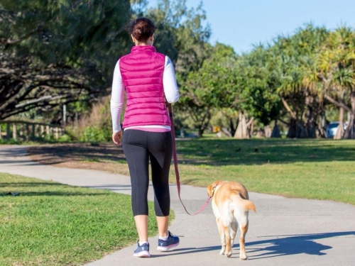 Caminhada de 20 minutos pode diminuir risco de 7 tipos de câncer