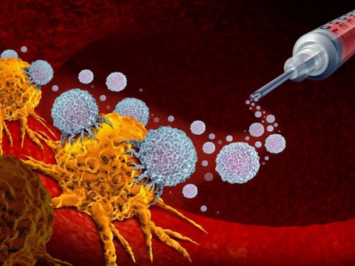 Afinal, o que é imunoterapia? Entenda sua atuação no combate ao câncer