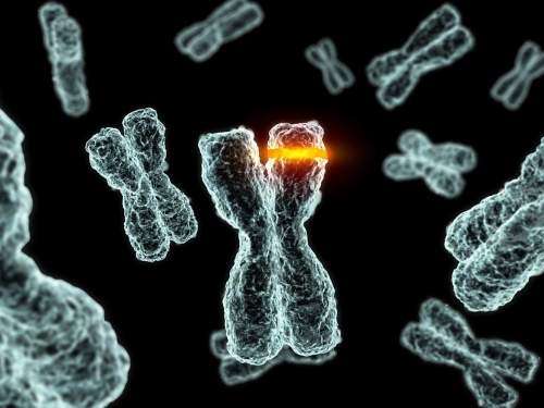 Mutações em gene podem causar câncer de ovário