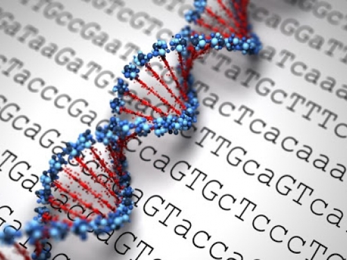 Teste genético: como saber se minha família tem câncer hereditário?