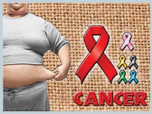 Obesidade e diabetes são importantes fatores de risco para o câncer