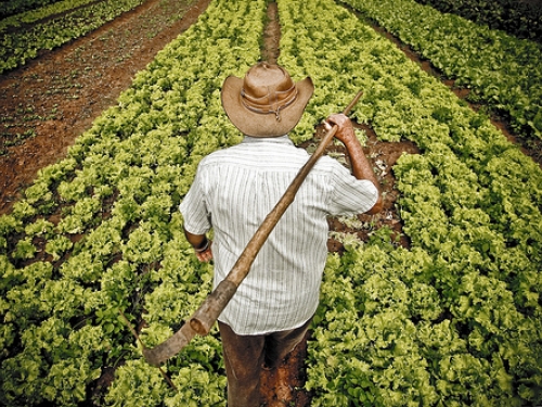 Agricultores começam a receber protetor solar gratuitamente no RS