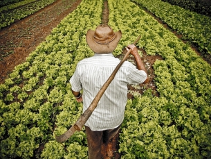 Agricultores começam a receber protetor solar gratuitamente no RS